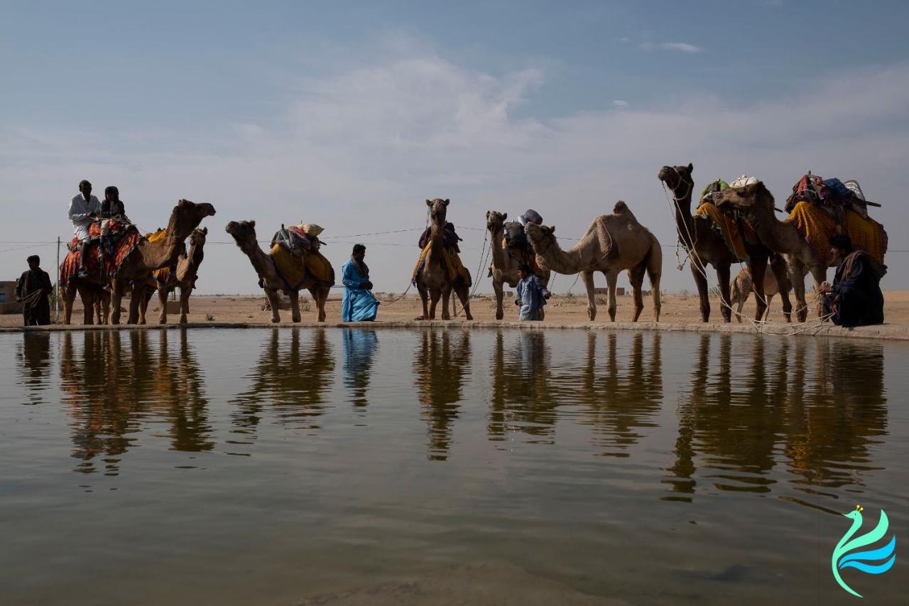 Hotel Kavi Palace Jaisalmer Eksteriør bilde